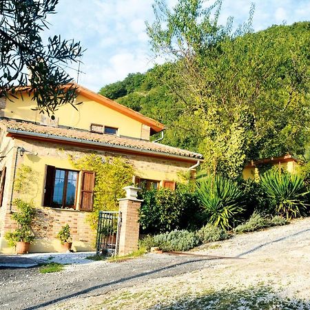 Villa Mischianti Gubbio Exteriér fotografie