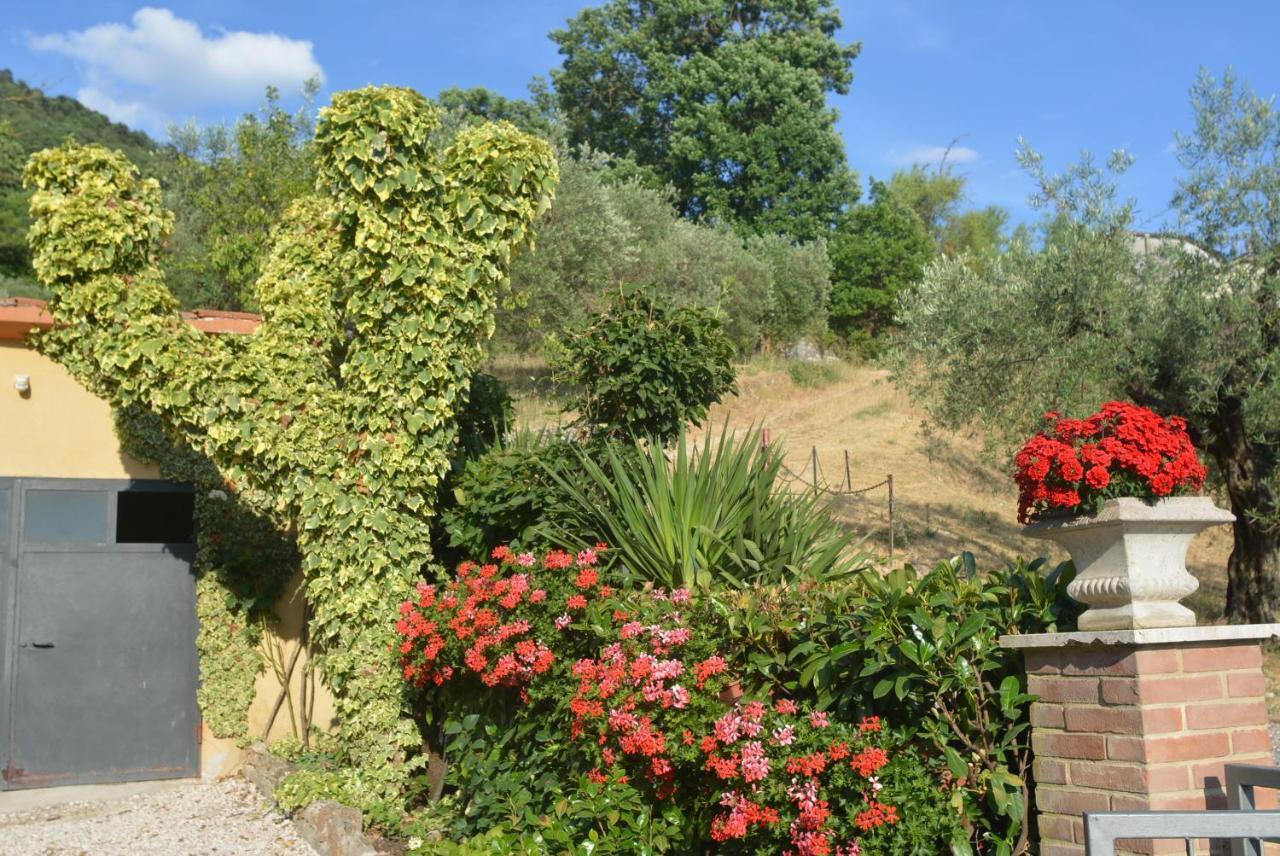 Villa Mischianti Gubbio Exteriér fotografie